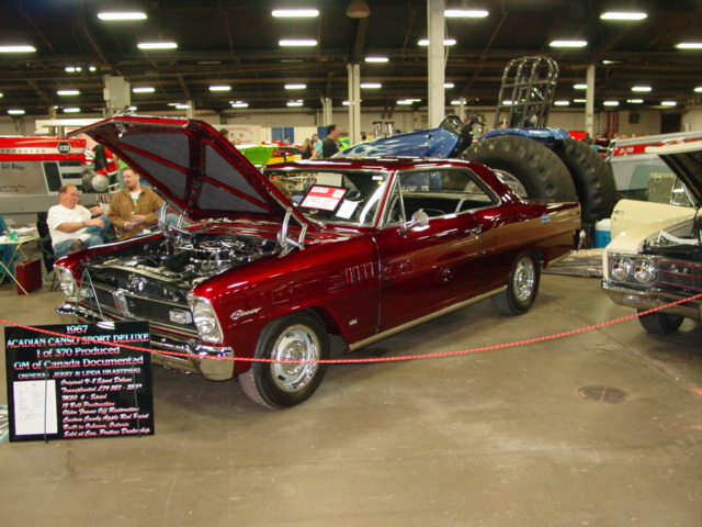 Wilder Than Most Street Machines